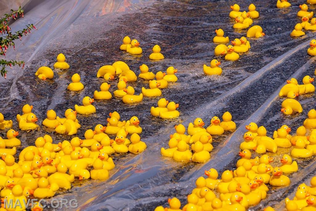 Duck Race Winners Announced Mt Airy Volunteer Fire Company